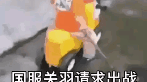 【百期抽奖揭幕篇】来了,来了,别打了。